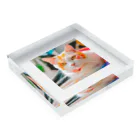 アニマルありまるの可愛い猫 Acrylic Block :placed flat