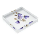 Atelier Petrichor Forestのキキョウ Chinese bellflower Acrylic Block :placed flat