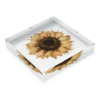 Atelier Petrichor Forestのヒマワリ Sunflower Acrylic Block :placed flat