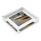 pick me n0wのアヒルボート Acrylic Block :placed flat