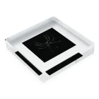 クモの蜘蛛 Acrylic Block :placed flat