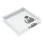 kgymのスーツ猫 Acrylic Block :placed flat