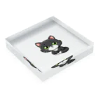 にゃんたれのグレーマーブル・ハチワレ仔猫コレクション Acrylic Block :placed flat