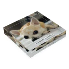 犬執事・ドッグバトラーのバンビ君ショップの世界初！本物の犬執事・ドッグバトラーのバンビ君 Acrylic Block :placed flat