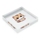 マッハSHOPのAI天風猫(怒1) Acrylic Block :placed flat