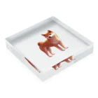 花子の庭のたそがれ柴犬 Acrylic Block :placed flat