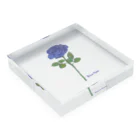 水色プリントの夢叶う青い薔薇 Acrylic Block :placed flat