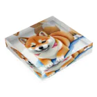 shIbaのシバの眼差し Acrylic Block :placed flat