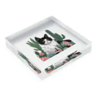 capcat1919のハチワレ白黒猫とサボテン Acrylic Block :placed flat