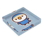 いんこ屋堂のコザクラインコ（バイオレットチェリー） Acrylic Block :placed flat