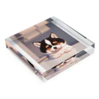 かわいい女の子とシュールな絵の子猫なしばちゃん Acrylic Block :placed flat