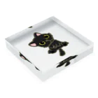 hogokeの保護猫 政宗 Acrylic Block :placed flat