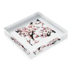 yokoyoko1013のsakura. Acrylic Block :placed flat