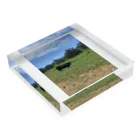 YASUE ABE JPのFarm Acrylic Block :placed flat