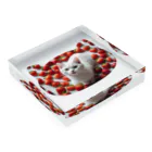 kiryu-mai創造設計のいちごねこ Acrylic Block :placed flat