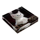 可愛い動物の猫 Acrylic Block :placed flat