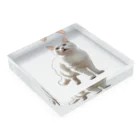 kiryu-mai創造設計の白猫ちゃん Acrylic Block :placed flat
