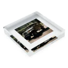 Vintage MotorVehicleのトヨタ・ランドクルーザー Acrylic Block :placed flat