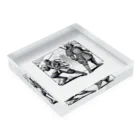 マイティのninja & samurai Acrylic Block :placed flat