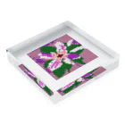 noaru633のドット絵のクレマチス Acrylic Block :placed flat