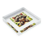 redpanda_pandaの恋したあらいぐま Acrylic Block :placed flat