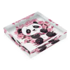 waterpandaの満開桜とパンダ Acrylic Block :placed flat