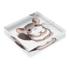 もふっとチンチラ🐭のおねだりチンチラ Acrylic Block :placed flat