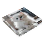 SkyBlueのキュートな子猫 Acrylic Block :placed flat