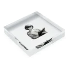 chanmaのAYUMI Acrylic Block :placed flat