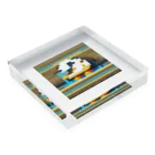 bousyounenの水しぶきをあげるアヒルの足指 Acrylic Block :placed flat