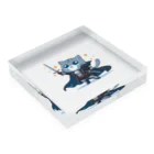 TOSHIRO-Tのファンタジー猫シリーズ・勇者 Acrylic Block :placed flat