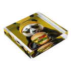 Colorful Canvasのハンバーガーを食べるパンダ Acrylic Block :placed flat