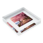 AQUAMETAVERSEの桜並木　なでしこ1478 Acrylic Block :placed flat