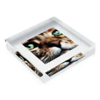 feliceのキャットフードの匂いに反応する猫 Acrylic Block :placed flat