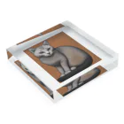 F2 Cat Design Shopのhairless cat 001 Acrylic Block :placed flat