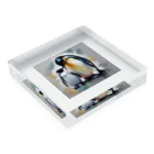 akipen76の愛する家族と幸せに暮らすペンギン Acrylic Block :placed flat