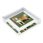 柴犬大好きマンのかわいい柴犬　赤毛 Acrylic Block :placed flat