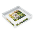 DOG SHOP🐕のふわふわワンちゃんグッズ Acrylic Block :placed flat