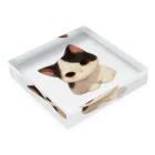 Cute Animalsのモノクロ猫 Acrylic Block :placed flat