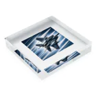 valtanamnのF-15J EAGLE Acrylic Block :placed flat