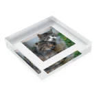 ニゴ猫　shopの愛だろう愛 Acrylic Block :placed flat