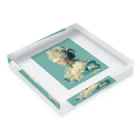 AQUAMETAVERSEの高貴な王妃　#1  Tomoe bb 2712 Acrylic Block :placed flat