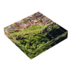 moironの深緑の苔 Acrylic Block :placed flat