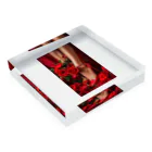 ニゴ猫　shopのred Rose heel  Acrylic Block :placed flat