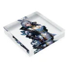 Akiの騎士 Acrylic Block :placed flat