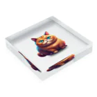 M@designartのぽんぽんデブ猫 Acrylic Block :placed flat