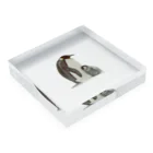 SWQAの皇帝ペンギン Acrylic Block :placed flat