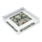 AQUAMETAVERSEの狐の嫁入り　なでしこ1478 Acrylic Block :placed flat