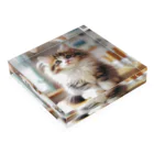 Creation CATのゴージャスCAT Acrylic Block :placed flat