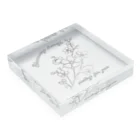 Kotoha-shopの桜の花言葉 Acrylic Block :placed flat